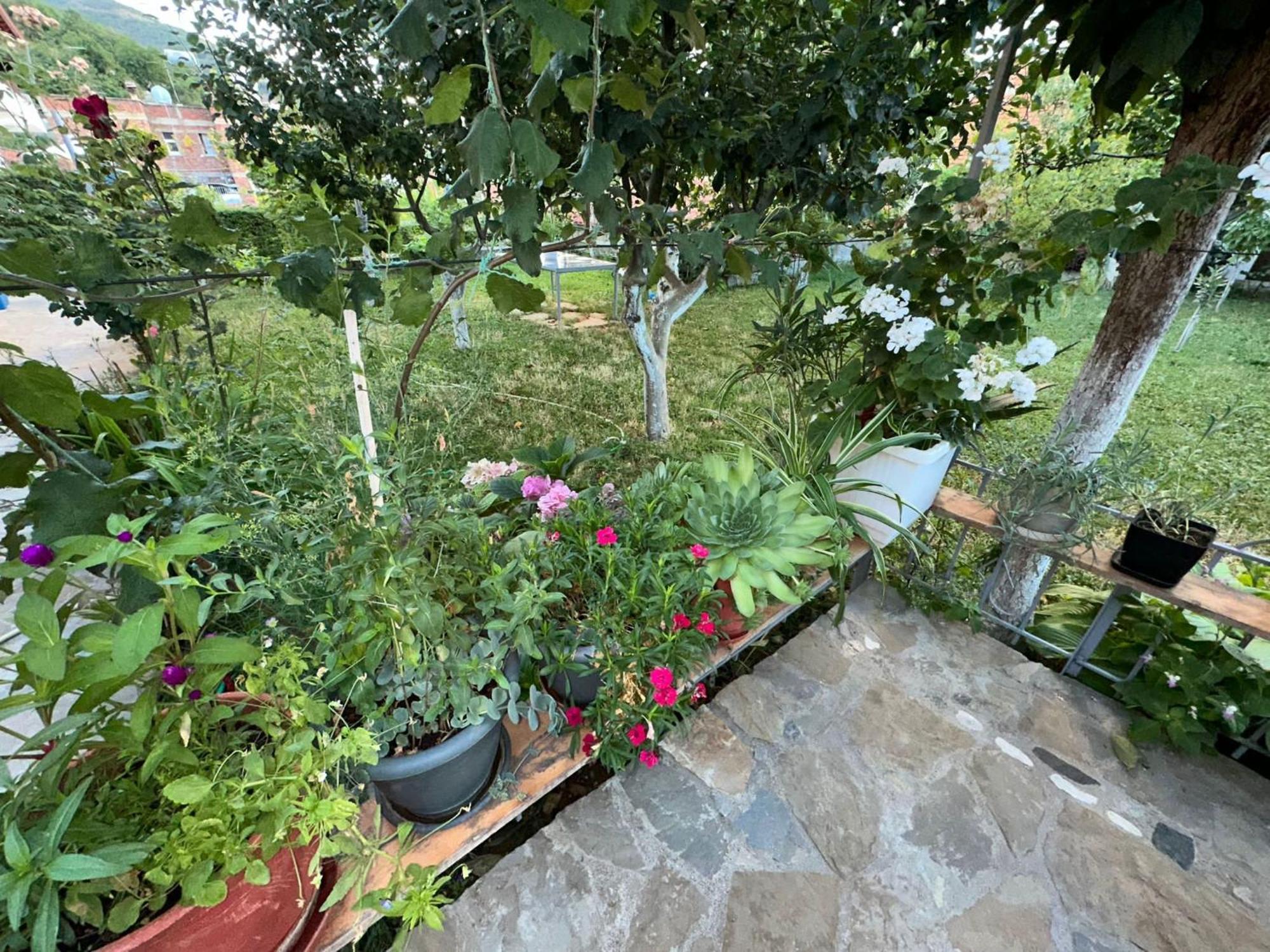 Willa Gardenhouse Memlishte Zewnętrze zdjęcie